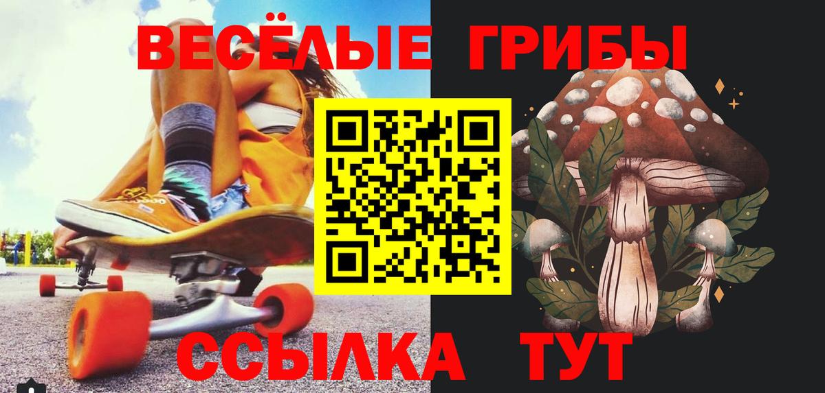 Улан-Удэ  Галлюциногенные грибы Cubensis  Вход с VPN 